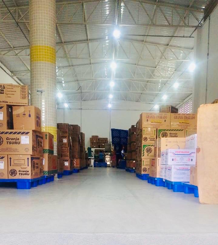 Organização e Estoque