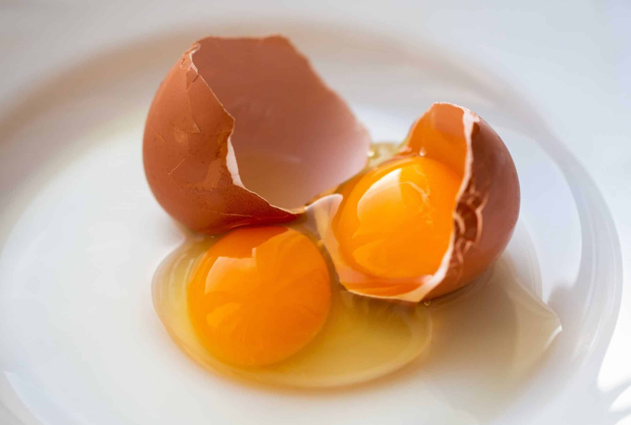Ovos jumbo com gema brilhante